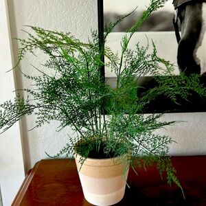 Hearth and Hand faux fern